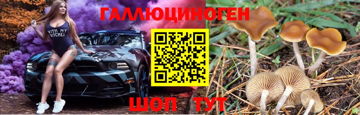 Псилоцибиновые грибы Psilocybe  Вход с VPN  Аксай 